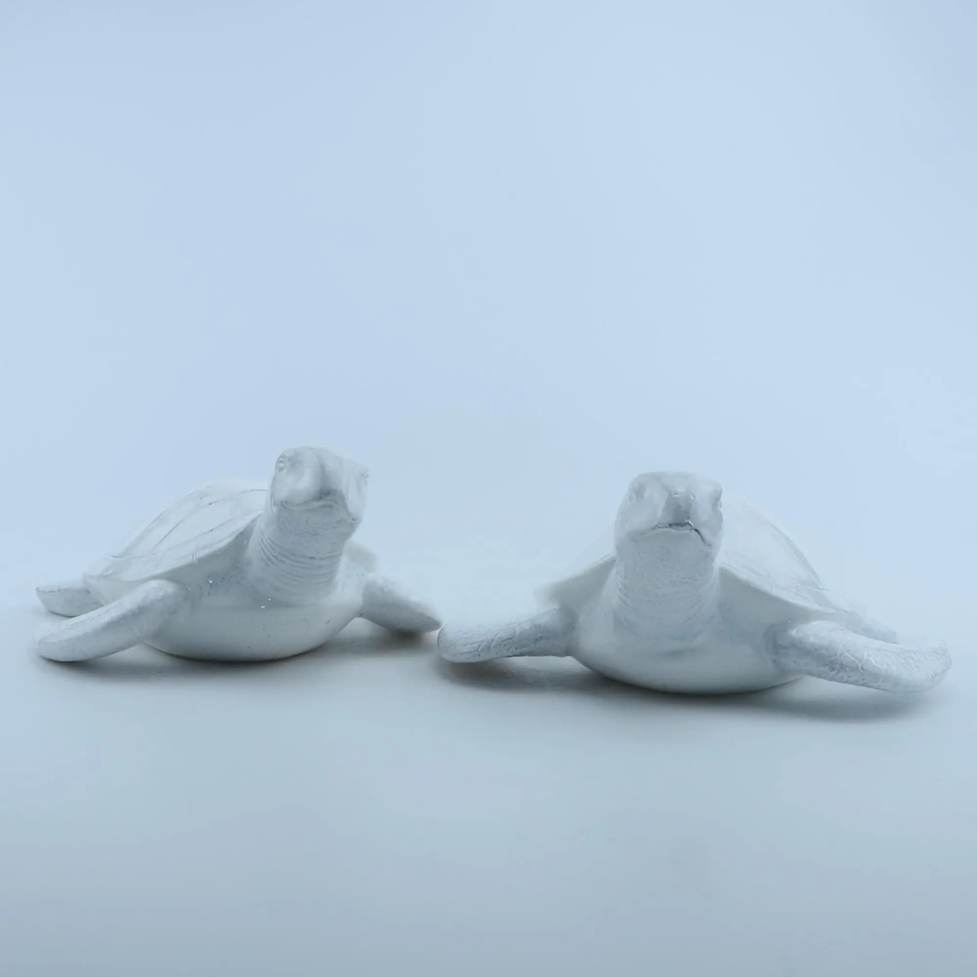 ceramic turtle ornaments, ceramic ornaments, ceramic turtle, coastal ornaments