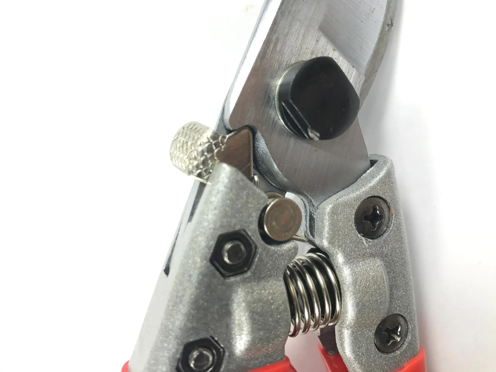 GA11005 (4).JPG