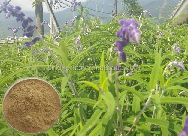 Cinnamon and honey tea weight loss results image 3