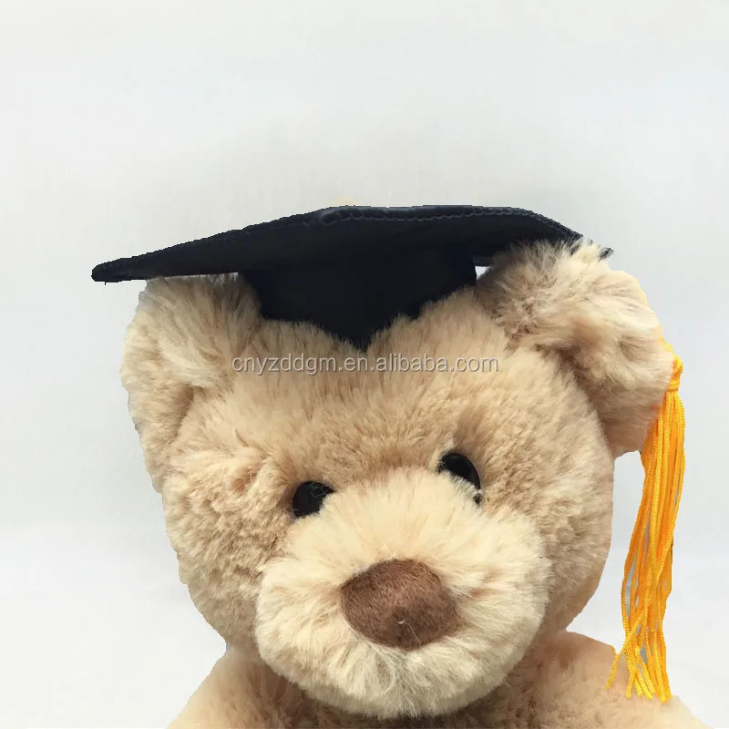 graduation teddy bear walmart