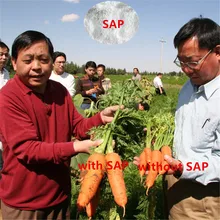 hydrogel sap, water absorption polymer used for mango tree planting