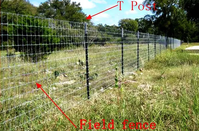 Galvanized Wire Mesh Fixed Knot Woven Wire Fence - Buy Fixed Knot Woven ...