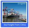 Consolidated agent Shanghai&Ningbo sea freight forwarder to Qatar -----Skype: colsales02