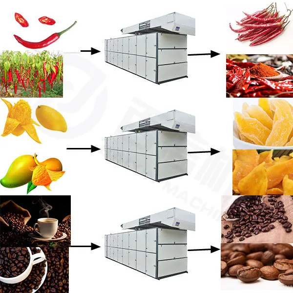 nut/peanut/pumpkin seed drying machine