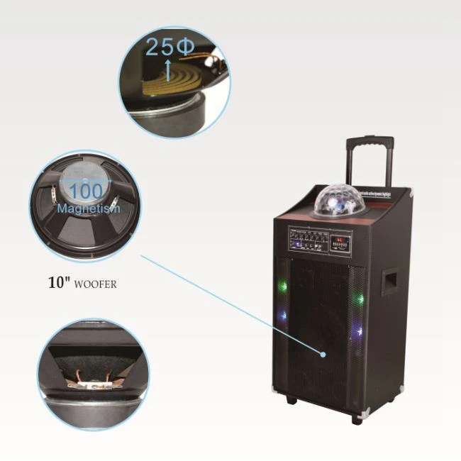 Hoxen Outdoor Trolley Speaker Box Subwoofer Karaoke Player Speaker Portable Speaker With LED Light - ANKUX.COM