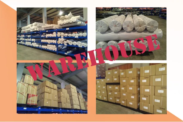 paste-pic-dp_uuid_diax7