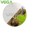 VEGA China GMP Factory Basic Organic Chemical Organic Acid