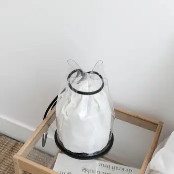 transparent bucket bag