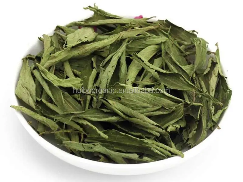 Stevia leaf supplier.jpg