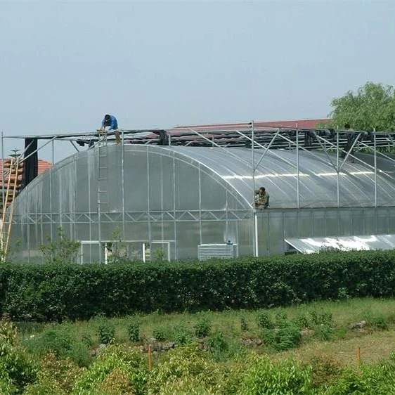 Großhandel aeroponic systems Kaufen Sie die besten aeroponic systems
