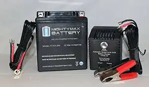 12V 1 AMP CHARGER Mighty Max 12V 8 AH SLA Replaces RB12V6