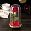 Christmas lighting decoration Forever Stabilized Luxury Flower Box Preserved Red Roses in Glass Dome