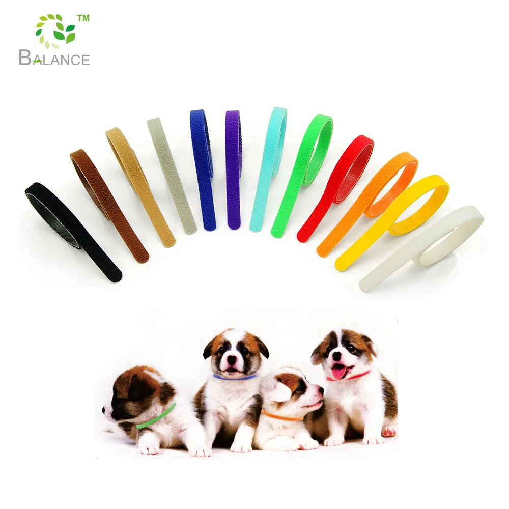 puppy identification bands