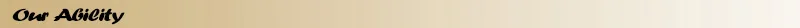 Our Ability.jpg