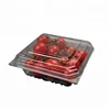 Custom Size Biodegradable Disposable Transparent Food Packaging Plastic Fruit Container