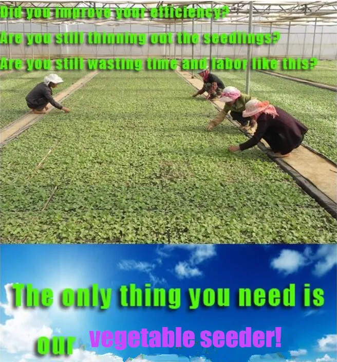 good quality onion seeder/small seed planting machine