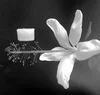 The most popular aerogels are aerogel panels used to insulate building walls
