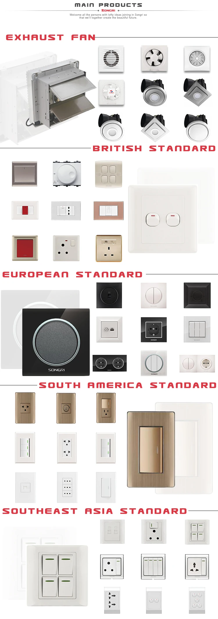 Songri Brand switch socket wall 2 gang switch 2 pin socket