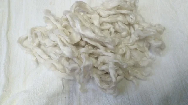 strip short silk briks .jpg