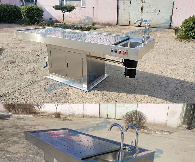 dissecting-table_01.jpg