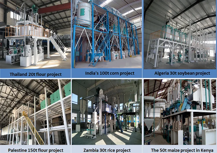 Most popular auto mini rice bran oil mill plant layout rice milling plant