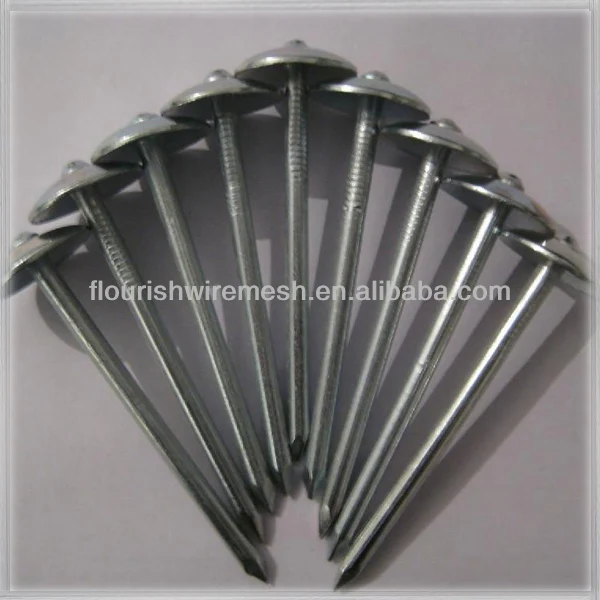 Galvanized Roofing Nail / Roofing Nails / Corrugated Roofing Nails