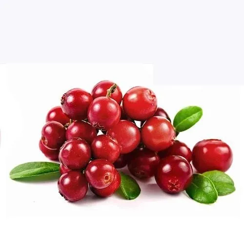 organic for food cranberry juice powder