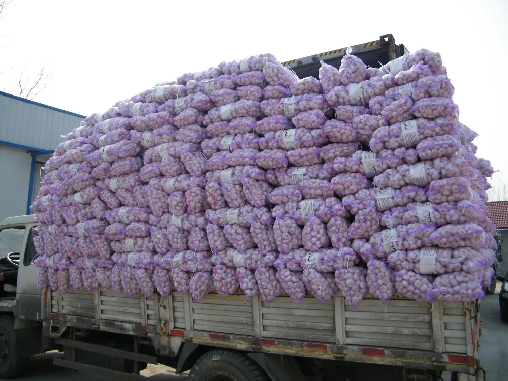 Normal White Garlic pack in 3p/sack, 10kg/carton