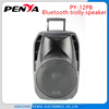 Wide power AC85V to 260V bluetooth subwoofer speaker