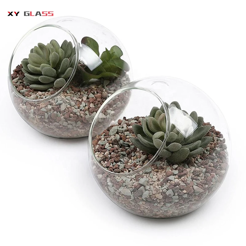 Decorative Clear Glass Globe Hanging Terrarium Planter Terrarium