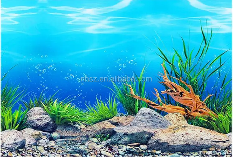 Green Background Aquarium Ocean Landscape Poster Fish Tank Background - Buy  Green Background,3d Aquarium Background,Big Size Background Product on  