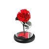 Popular eternal flowers little princess preserved roses with gift box wholesale from Yunnan
