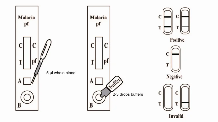 Test procedure cassette