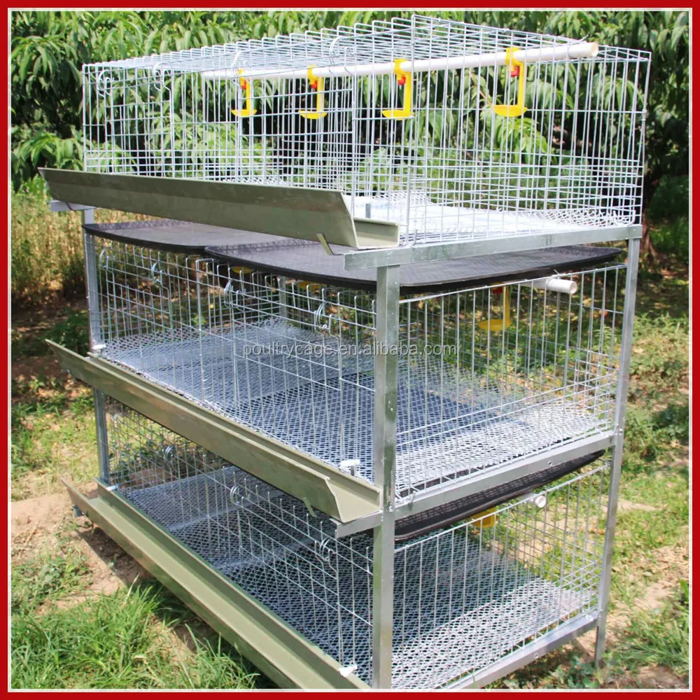 Best Sale Chicken Egg Layer Cages In South Africa - Buy 