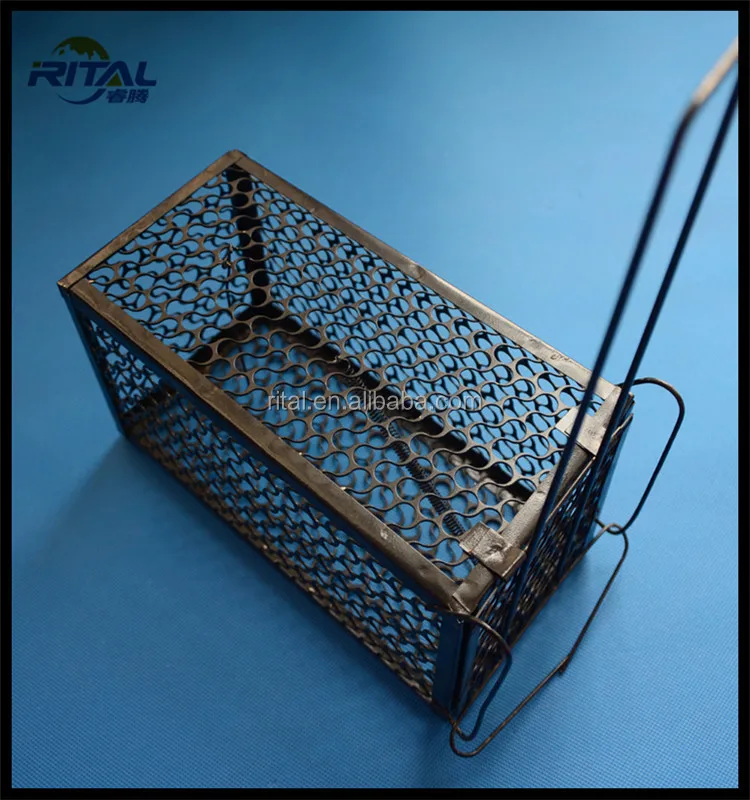 powder coated rat cage