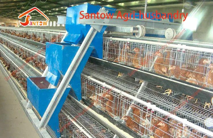 Automatic chicken cages hot galvanized poultry cage cheap price laying hen battery cage for layer farm design