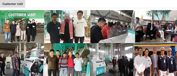 10t auto mini roller wheat flour mill wheat flour grinder machine