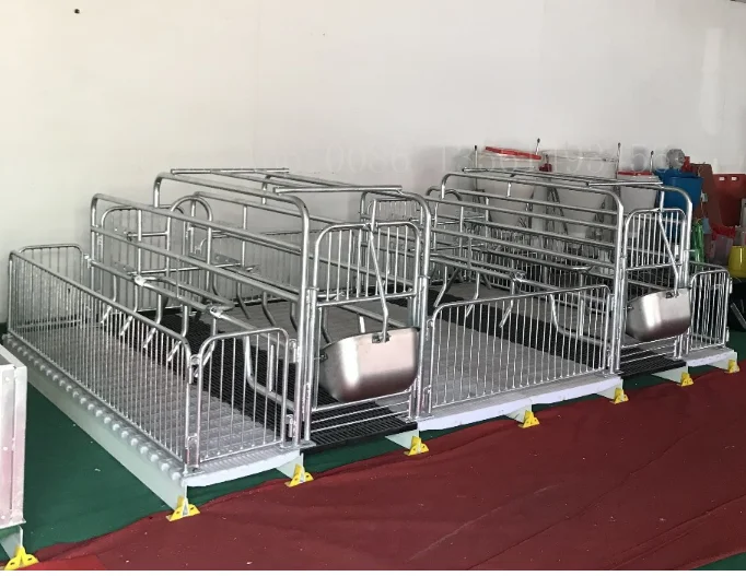 Hot Galvanized Farrow Crate Farrow Crate Flooring Buy Farrowing Crate