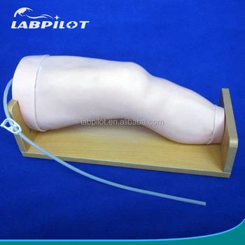 Knee Joint Cavity Puncture And Articular Injection Training Simulator ...