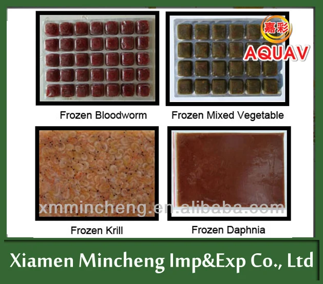 Frozen fish feed.jpg