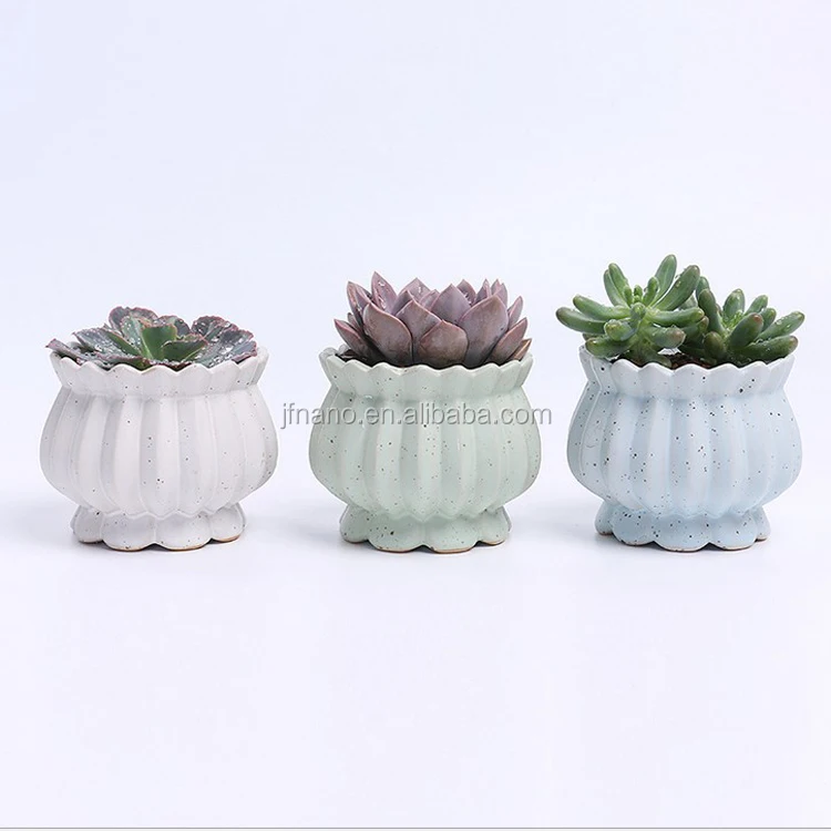 Desain baru succulent tanaman pekebun keramik  dalam 