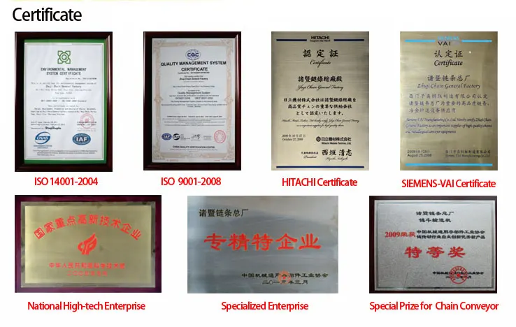 certificate.jpg