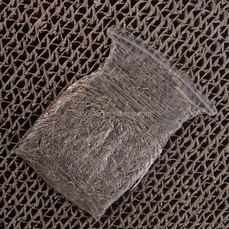 DSC_5357.JPG
