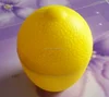 Lemon Container, Lemon Storage Box, Lemon Utensil