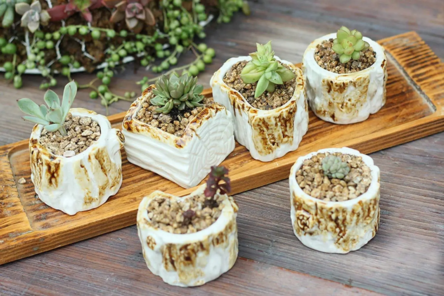 Cheap Ceramic Flower Pots For Sale, find Ceramic Flower Pots For Sale