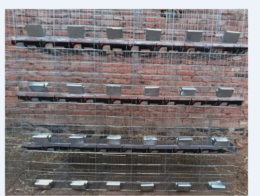 Easy Clean Commercial Rabbit Cage For Sale Used In Poultry Farm Buy