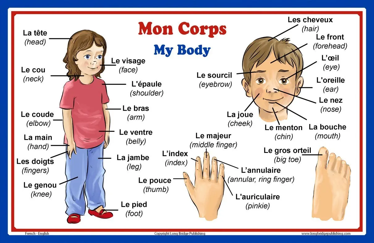 Buy French Language School Poster: French Words About ...