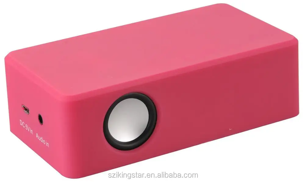 Induction speaker (2).jpg