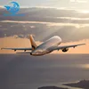 TOP shipping air freight CAN HKG SZX PEK PVG to LEH LIL LYS MLH MPL MRS airport France Europe