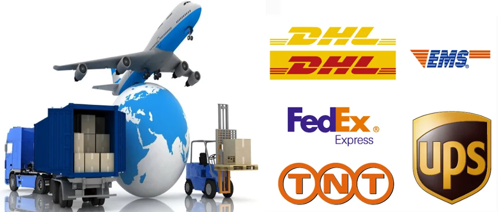 paste-pic-dp_uuid_wsivj